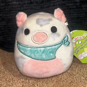 5 inch spotted pig named Rosie!